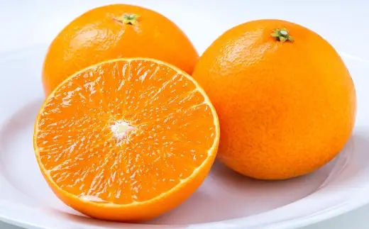 【 果汁あふれる至福の一玉 】 まどんな （ 紅まどんなと同品種 ） 約2kg みかん ミカン 柑橘 柑橘系 柑橘類 くだもの 果物 フルーツ 果実 果汁 果肉 国産 愛媛県産 薄皮 【 2026年11月下旬-2027年1月下旬発送予定 】 ( 1110 )