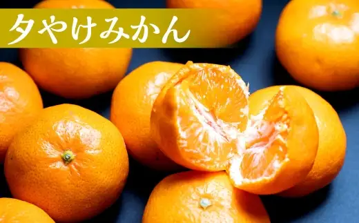 【 食べ比べで広がる冬の楽しみ 】 まどんな （ 紅まどんなと同品種 ） 約2kg＋夕やけみかん 約2kg みかん ミカン 柑橘 柑橘系 柑橘類 くだもの 果物 フルーツ 果実 果汁 果肉 国産 愛媛県産 【 2026年11月下旬-2027年1月下旬発送予定 】 ( 1114 )