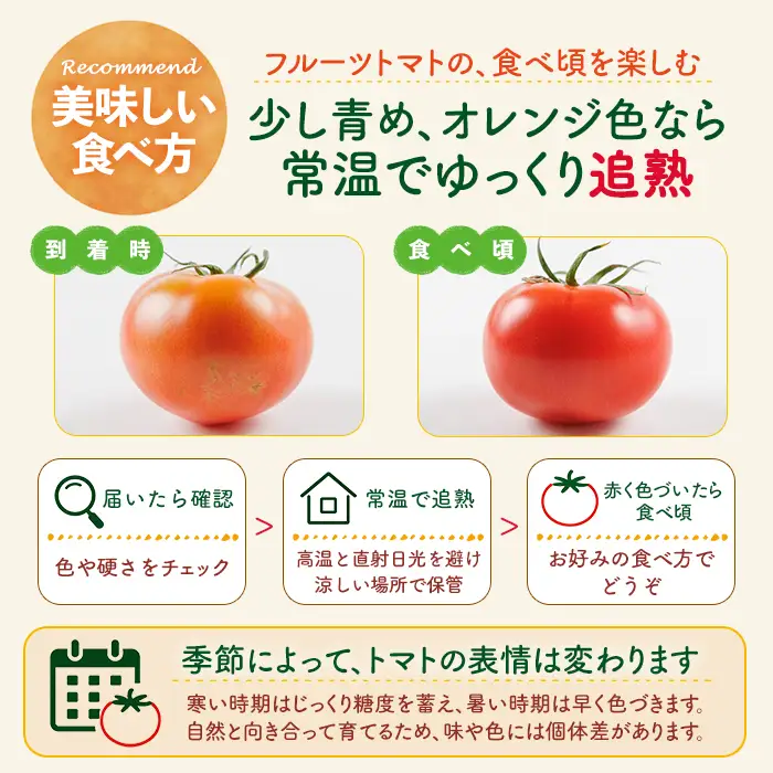 ＼全国トマト選手権 金賞＆特別賞受賞 ／＜先行予約受付中！2027年2～5月の間に発送予定＞トマけんのフルーツトマト 高糖度 トマト フルーツトマト サラダ 野菜 旬野菜 冷蔵 門川町産 宮崎県 門川町 【TK-01】【トマけん農園】