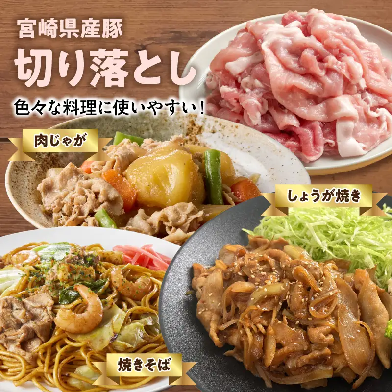 延岡よっとん＆宮崎県産豚 皿盛り2皿セット 各600g×1 N0220-YA5536