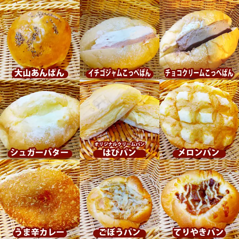 はぴはぴハッピーぱん 5個詰め合わせセット (塩ぱん 大山あんぱん カレーパン 等) [1171]