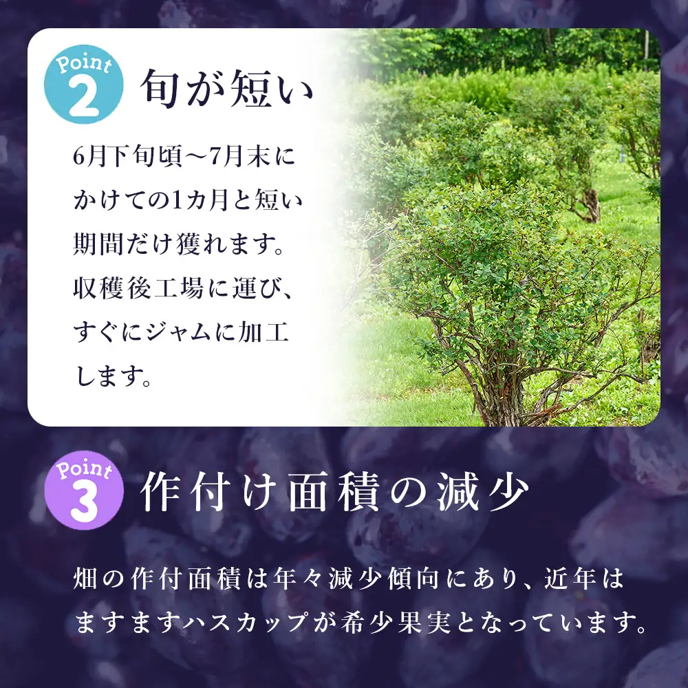 【数量限定】【7月20日まで受付】ハスカップジュエリー・ヌーボー 6個入 2箱《北海道千歳市 もりもと》