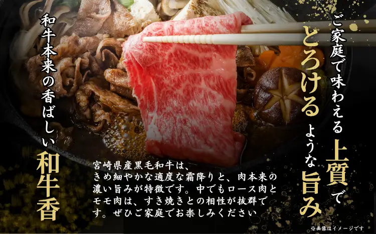 厳選 江田和牛 サーロインステーキ 600gセット(200g×3枚)  日本一のブランド牛「宮崎牛」 [希少 国産 黒毛和牛 冷凍 ギフト A5 牛肉 お肉 宮崎県 ワンストップオンライン対応] TF0695-P00051