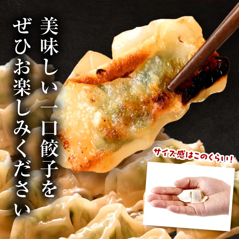 一口餃子 100 個入りタレ２個_kn107-002