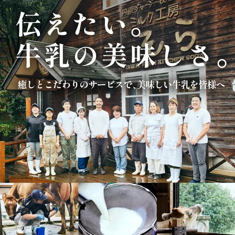 ジャージーミルクピス(500ml×4本セット)化粧箱入 ミルクピス 乳製品 丹後ジャージー牧場 ミルク工房そら ジャージー牛乳の美味しさ広がる 乳酸菌ドリンク 乳酸菌飲料