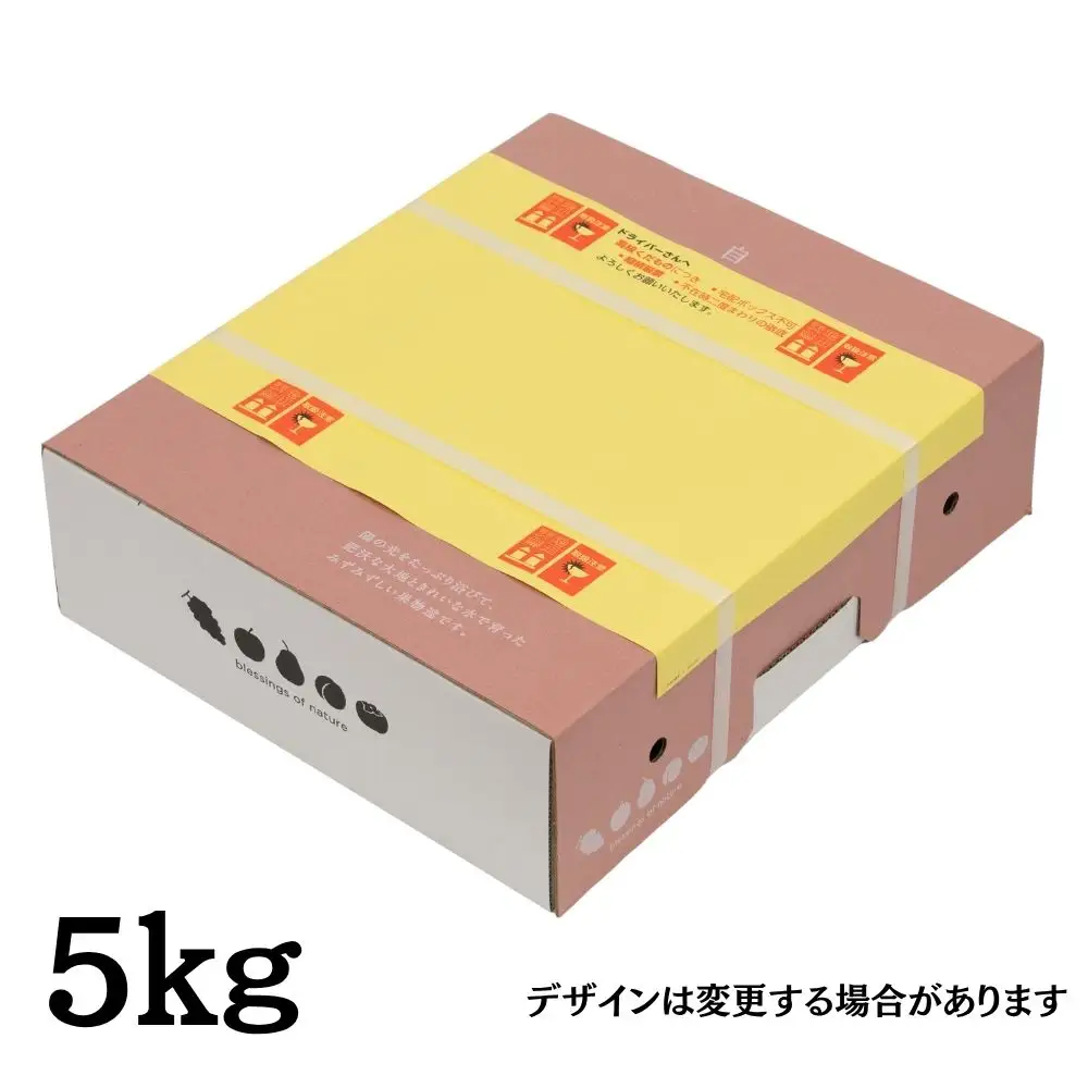 山形県産 白桃 ご家庭用 5kg （12玉～25玉）【2026年8月上旬から9月中旬発送】 山形県 果物 フルーツ 桃 モモ もも 夏 送料無料