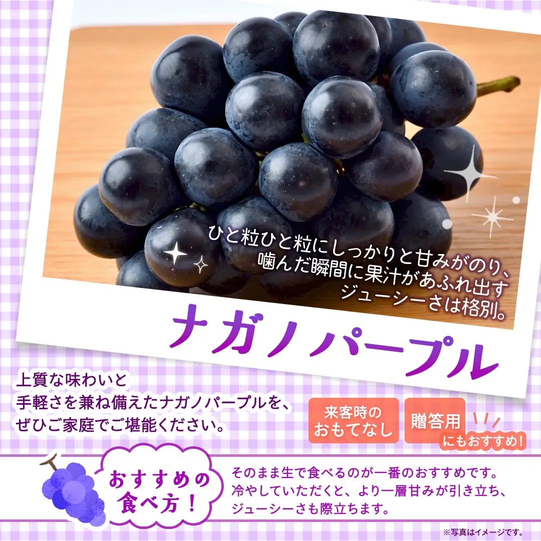 【定期便】3か月連続でお届け！ナガノパープル 約2kg （約4房）【2026年8月より発送開始】（茨城県共通返礼品 [ぶどう]：結城市産）