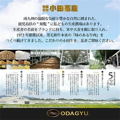 小田牛の牛とろ煮込み　140g×2個【1755172】