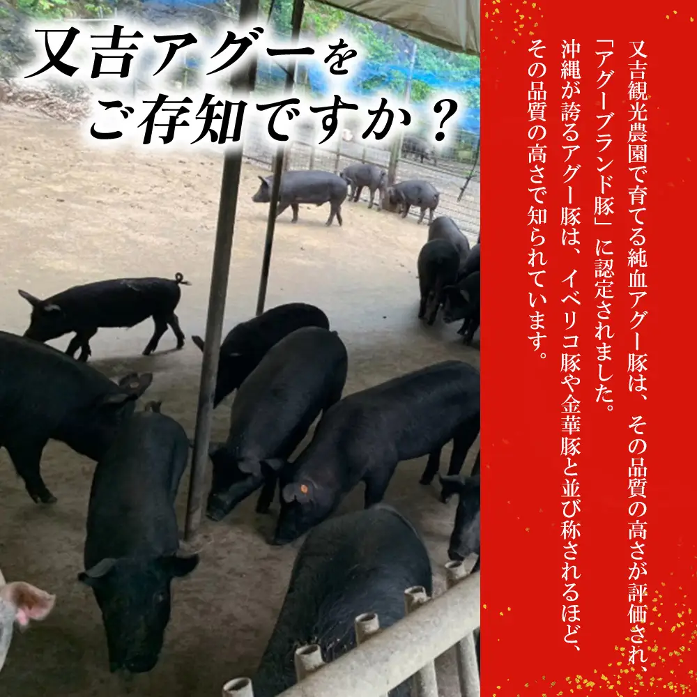 【又吉アグー】しゃぶしゃぶ500gセット(ウデ・モモ）各250g アグー ブランド豚 しゃぶしゃぶ お取り寄せ 産地直送 沖縄グルメ おうちごはん ギフト 食べ比べ 冷凍 贈答用 時短ごはん おすすめ 贅沢 ストック まとめ買い 大容量 鍋セット 国産豚 名護市