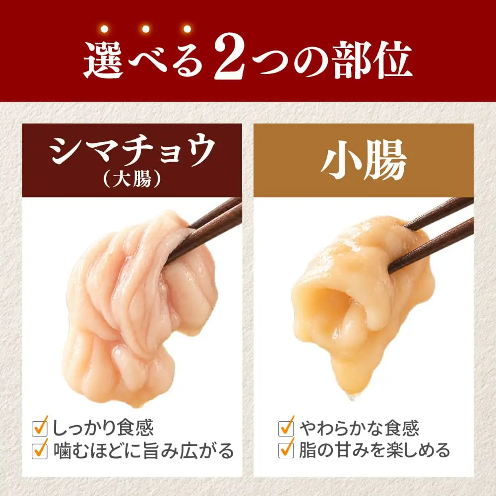 牛ホルモン (味付け無し／シマチョウ) 1kg (500g×2パック)【a163-045】