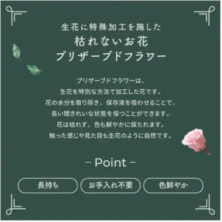 プリザーブドフラワーアレンジ 【プティ カーネーション(レッド)】【1753205】