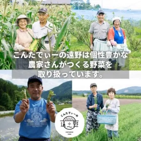 アスパラガス 500g こんたでぃーの遠野【配送不可地域：離島】【1511899】