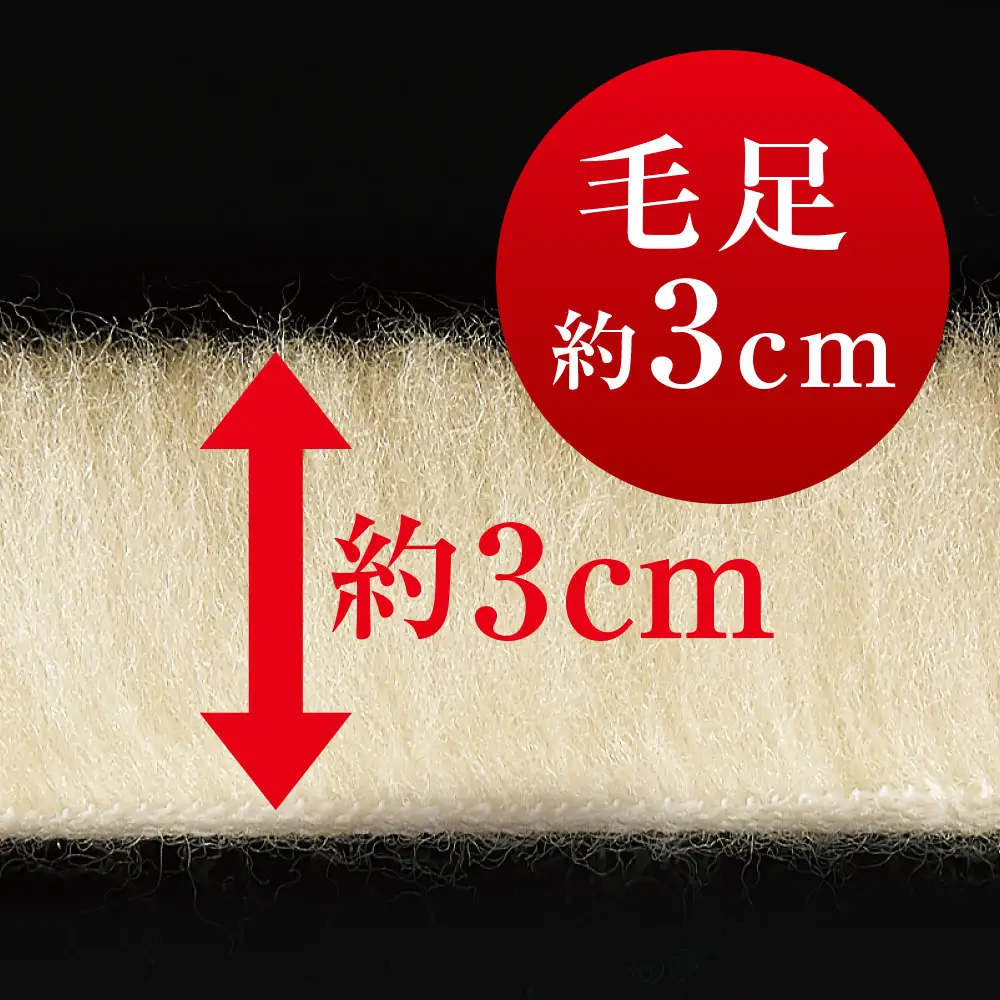 THE PREMIUM Sofwool 2 掛け毛布 シングル