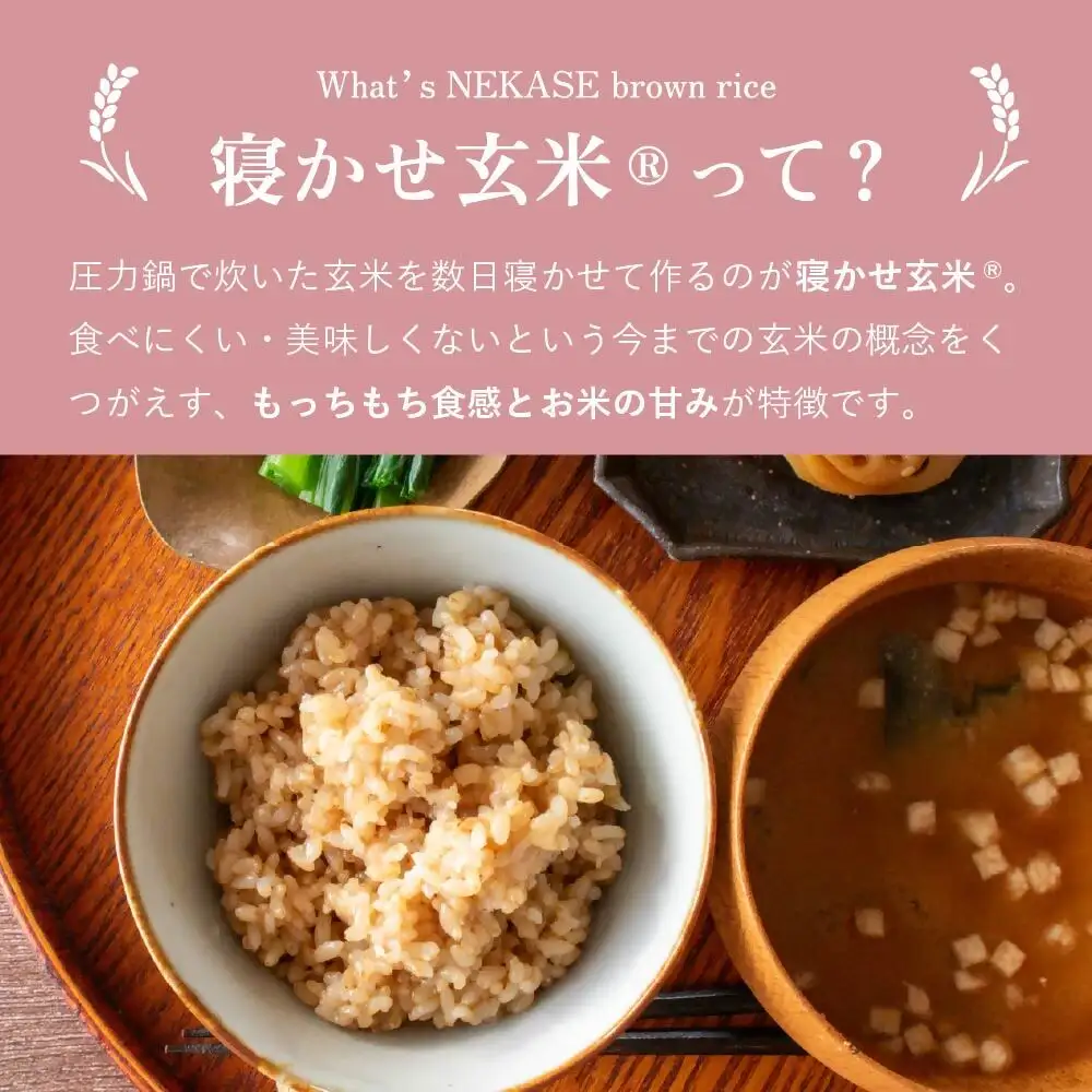 AI-187_【ふるさと玄米】寝かせ玄米ごはんパック　福岡県行橋市産【160g×6食セット】
