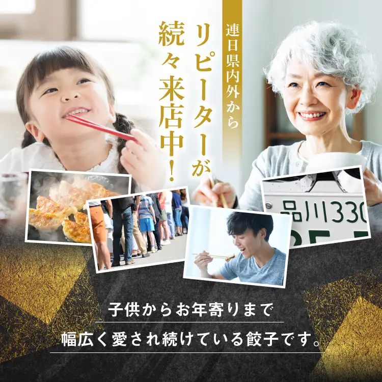 【定期便3回】たじまや オリジナル ビッグ 餃子 大きい 20個