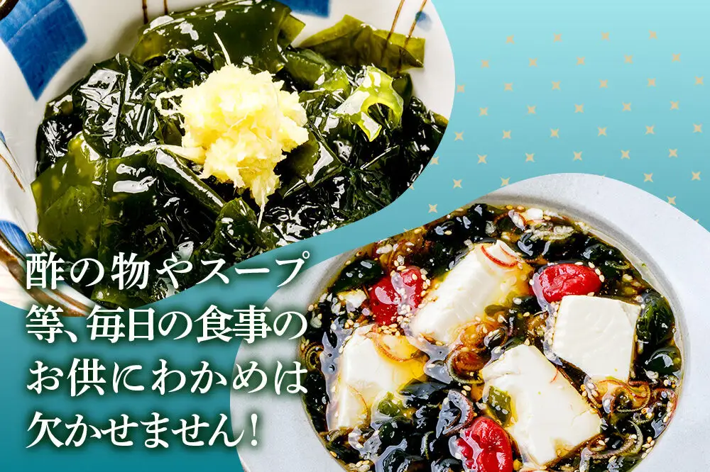 わかめ 男鹿名物とろとろわかめ 200g×20個セット 男鹿なび