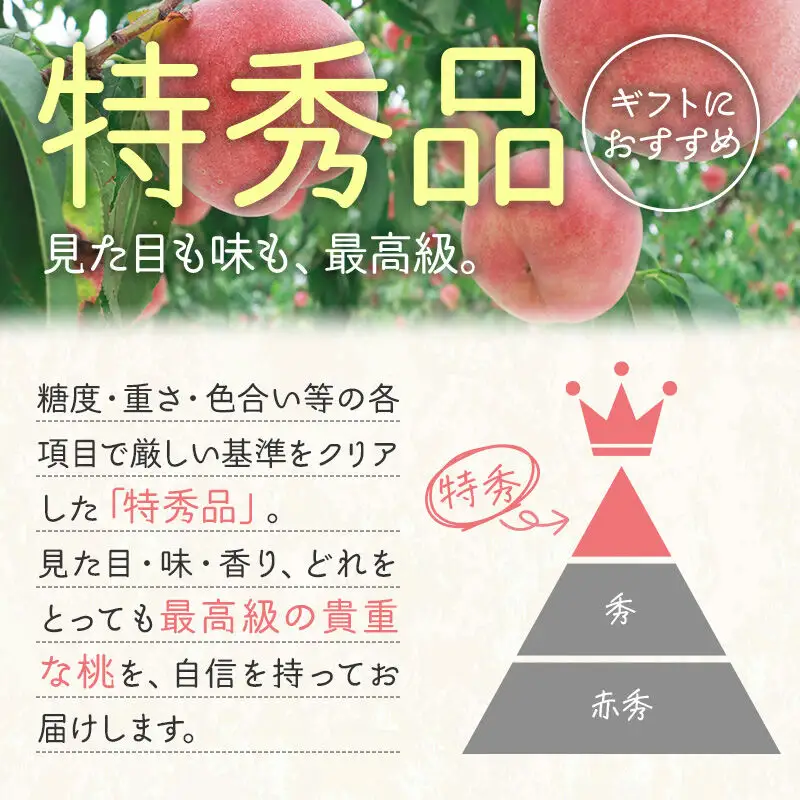 【秋田県横手市産】 白桃 約5kg（あかつき）特秀 15～20玉 桃