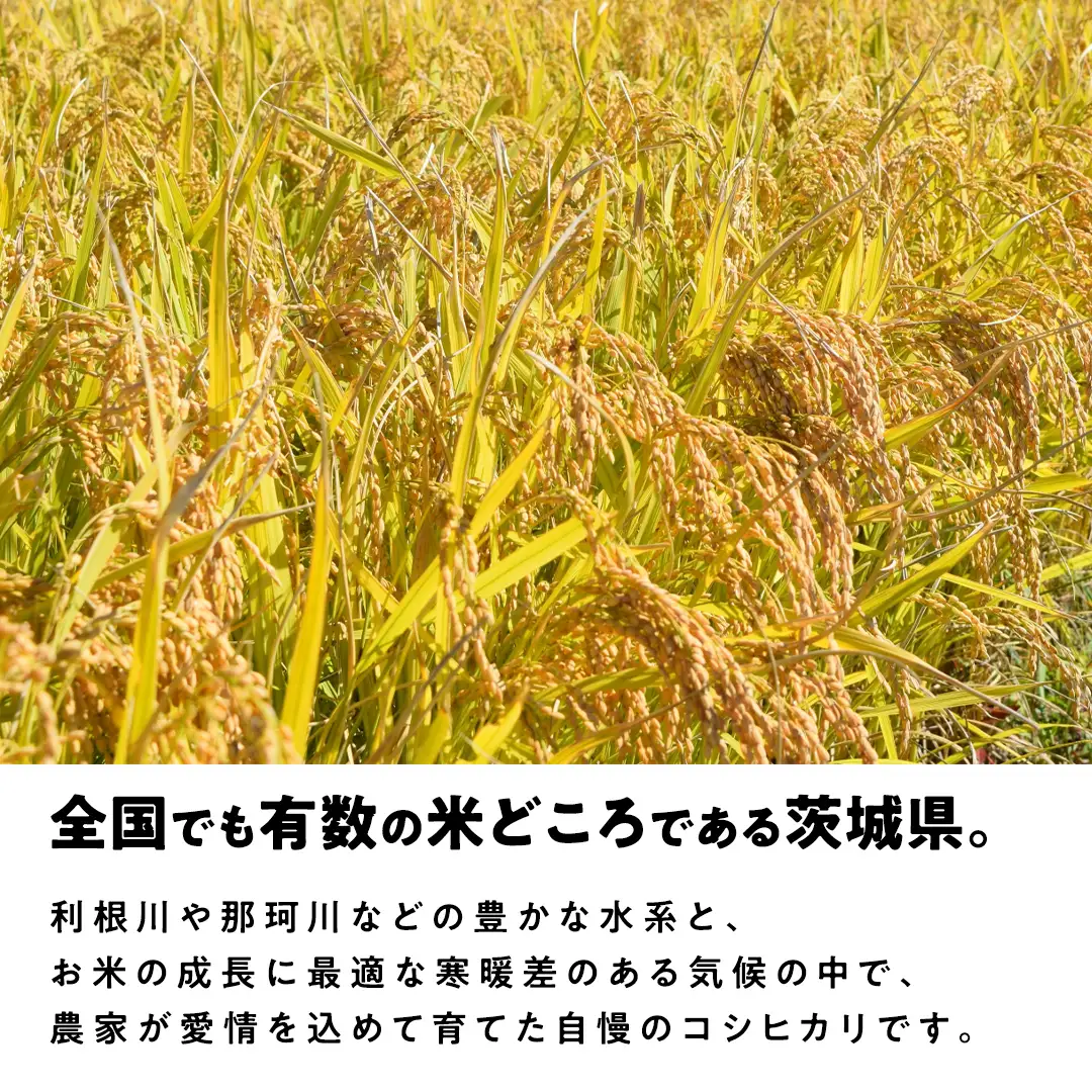 【最短2営業日出荷】 コシヒカリ 玄米 30kg