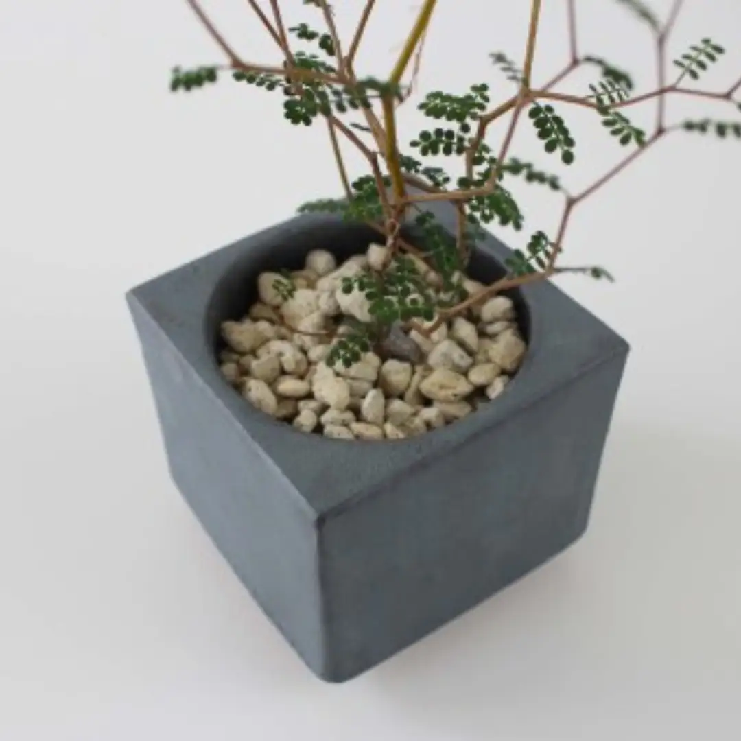 【安田瓦】 MYK FLOWER POT-rin S／kaku 凛 瓦花器 丸三安田瓦工業 花器 植木鉢うえきばち フラワーポット プランター プラントポット 鉢 ガーデニング 花 アレンジメント 鉢 陶器 インテリア ブランド 伝統 新潟県 阿賀野市 1M33031