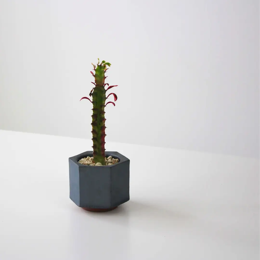 【安田瓦】 MYK FLOWER POT-rin S／takaku 凛 瓦花器 丸三安田瓦工業 花器 植木鉢うえきばち フラワーポット プランター プラントポット 鉢 ガーデニング 花 アレンジメント 鉢 陶器 インテリア ブランド 伝統 新潟県 阿賀野市 1M34031