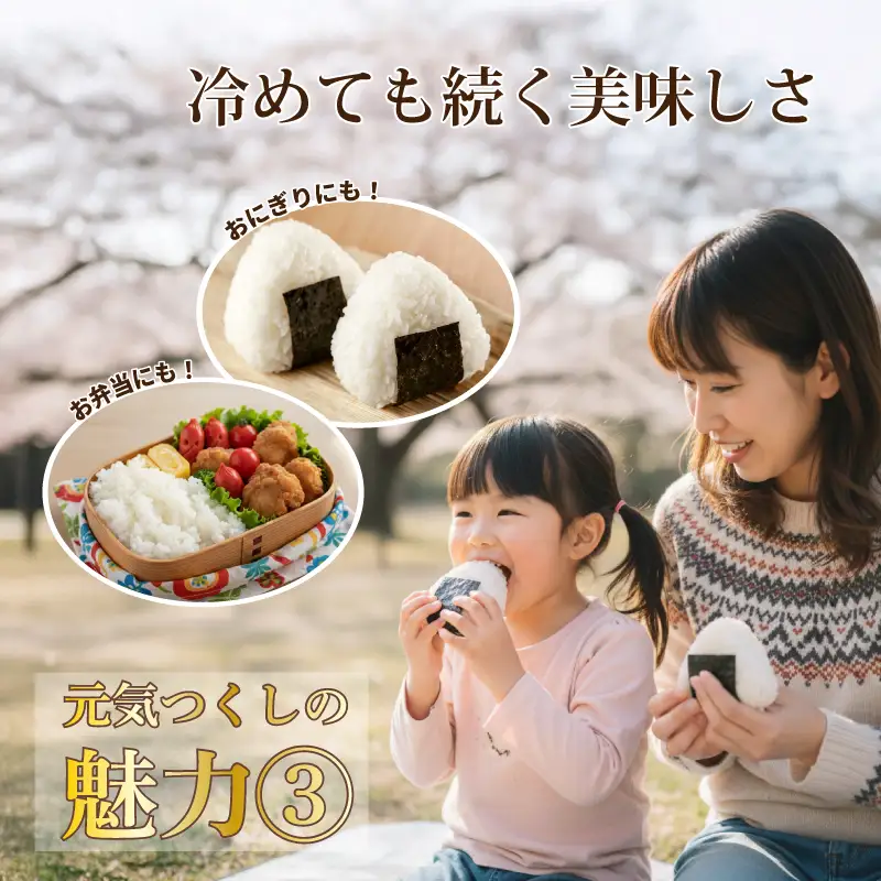令和8年産新米予約 元気つくし 5kg お米 米 TJI