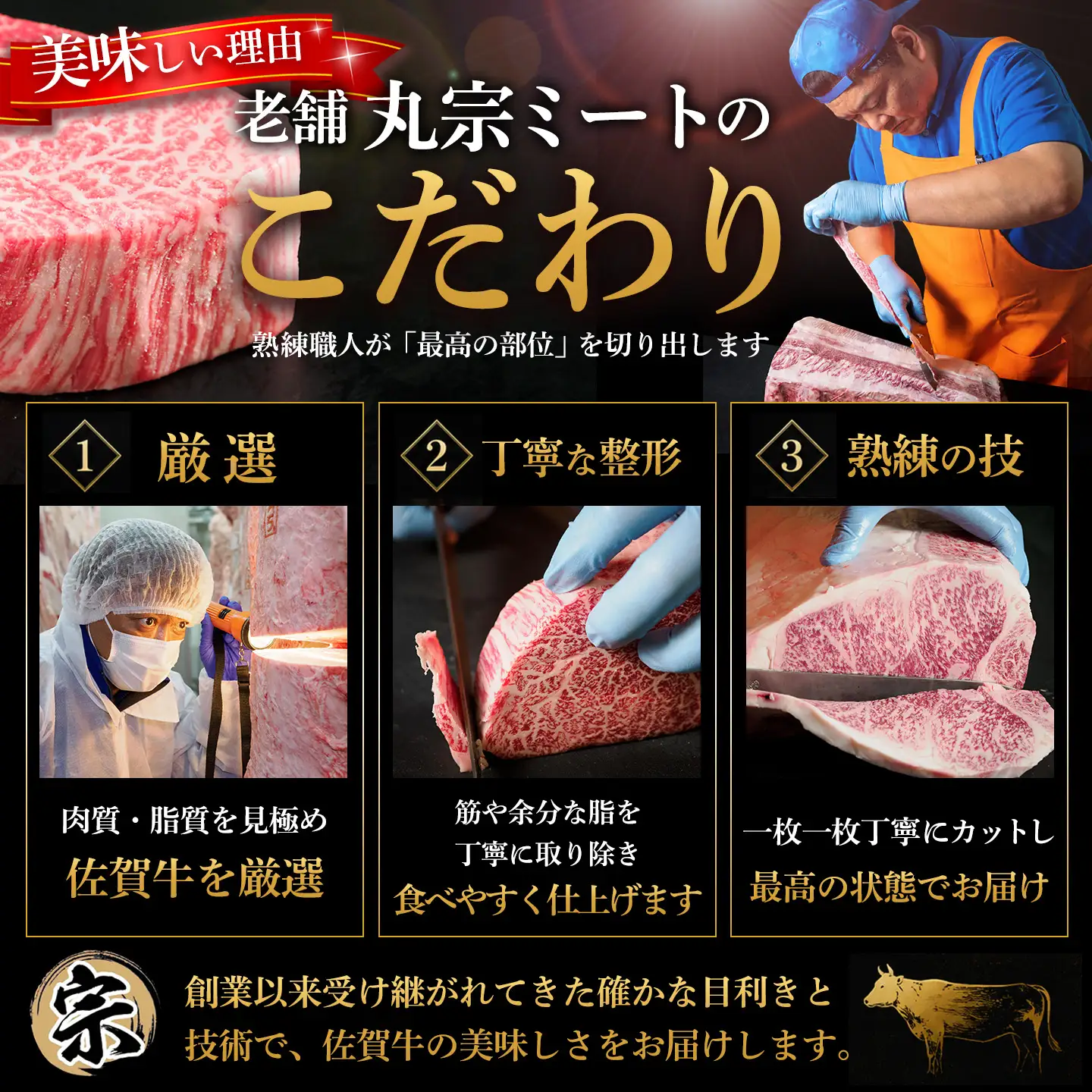 【スピード発送】佐賀牛 サーロインステーキ 250g×2枚 (H065221)