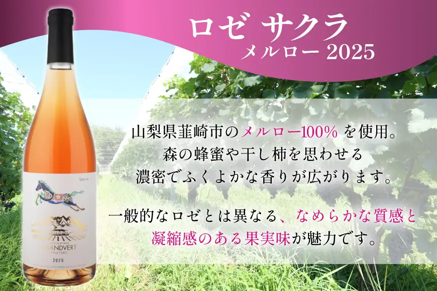 酒 ワイン エチュード ll ＆ ロゼ サクラ メルロー 750ml 2本 セット