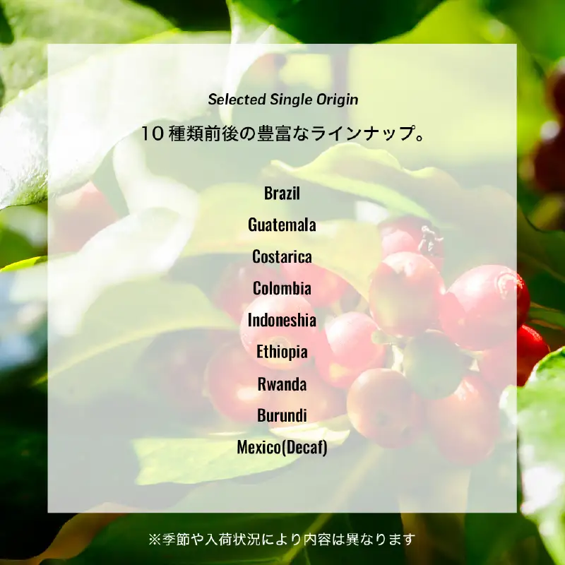 スペシャルティ コーヒー豆 100g 2種 飲み比べセット おいしい 珈琲 _A103-26