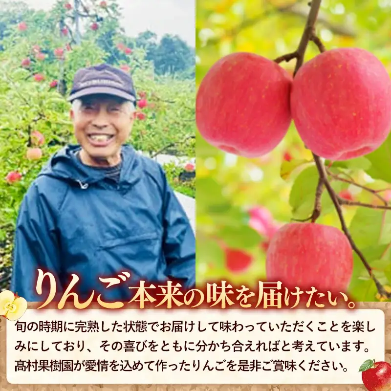 【11月下旬より順次発送】りんご 訳あり 約5kg 岩手町産