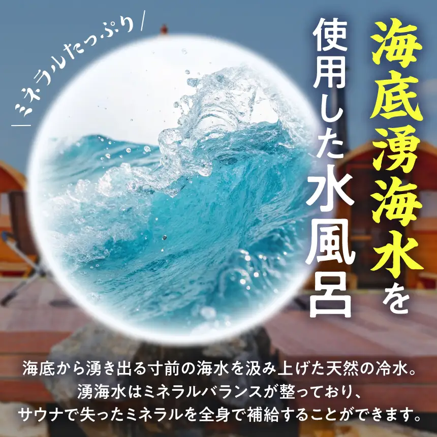 しお活HARBOR しお活 バレルサウナ １回券