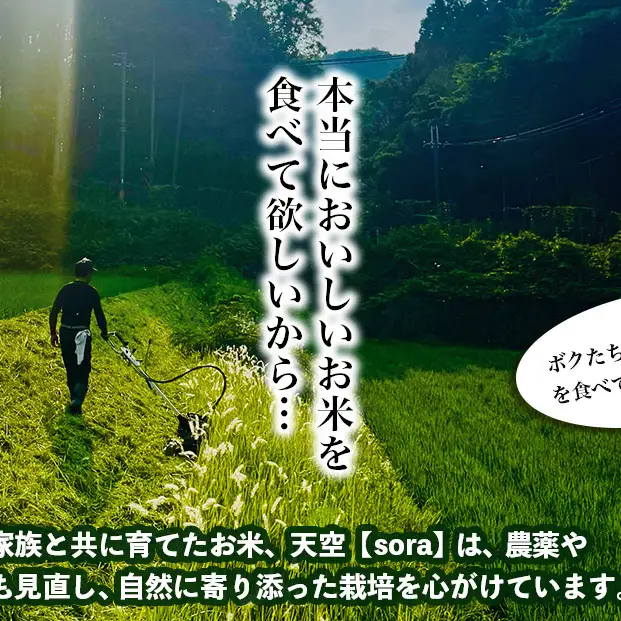 宇陀の自然が育てた 天空【sora】極 ひとめぼれ 5kg｜特別栽培米・奈良県宇陀産 白米