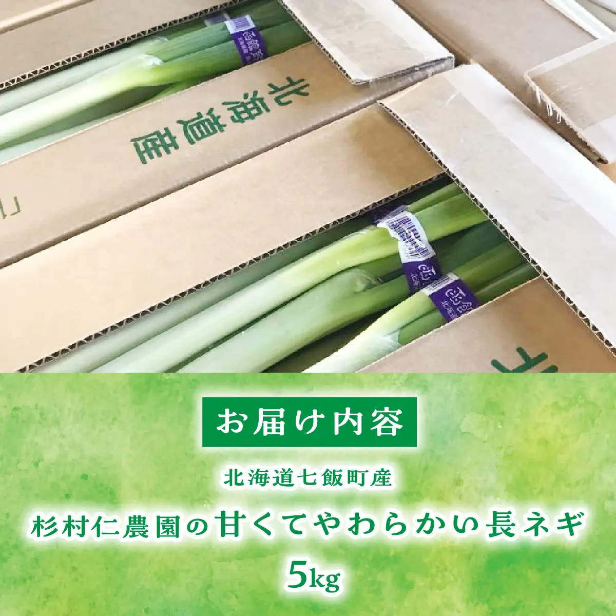 北海道 七飯町産 杉村仁農園の甘くてやわらかい長ネギ 5kg NACA001