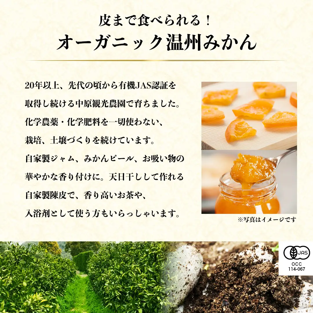 皮まで食べられる！ 特選プレミアム オーガニックみかん 極 (きわみ) 約1.5kg 【先行予約 11月～1月中旬発送予定】  