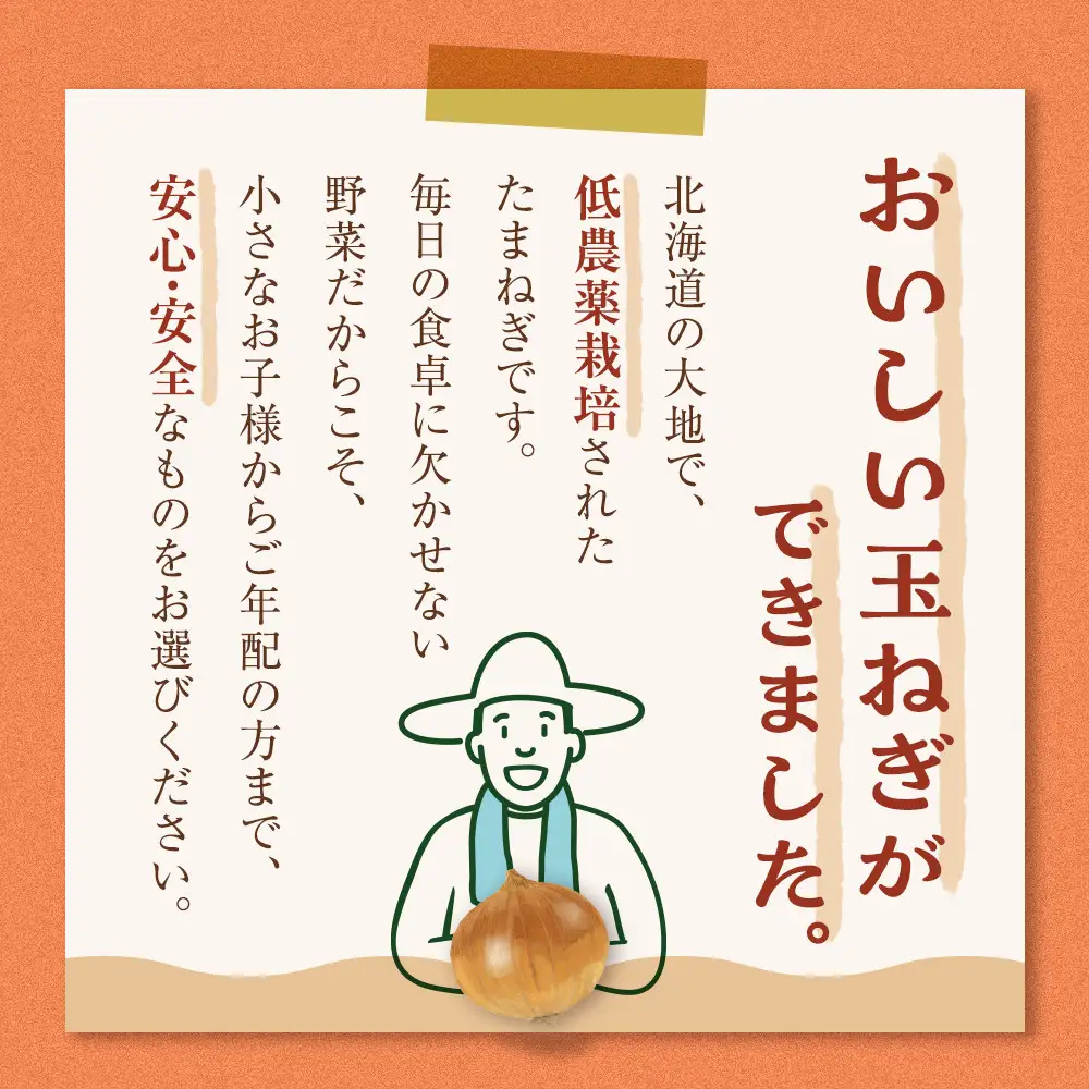 【先行予約】農家直送 低農薬 旭川産 玉ねぎＬサイズ20kg(2026年9月発送開始予定)_ | 玉ねぎ 05935