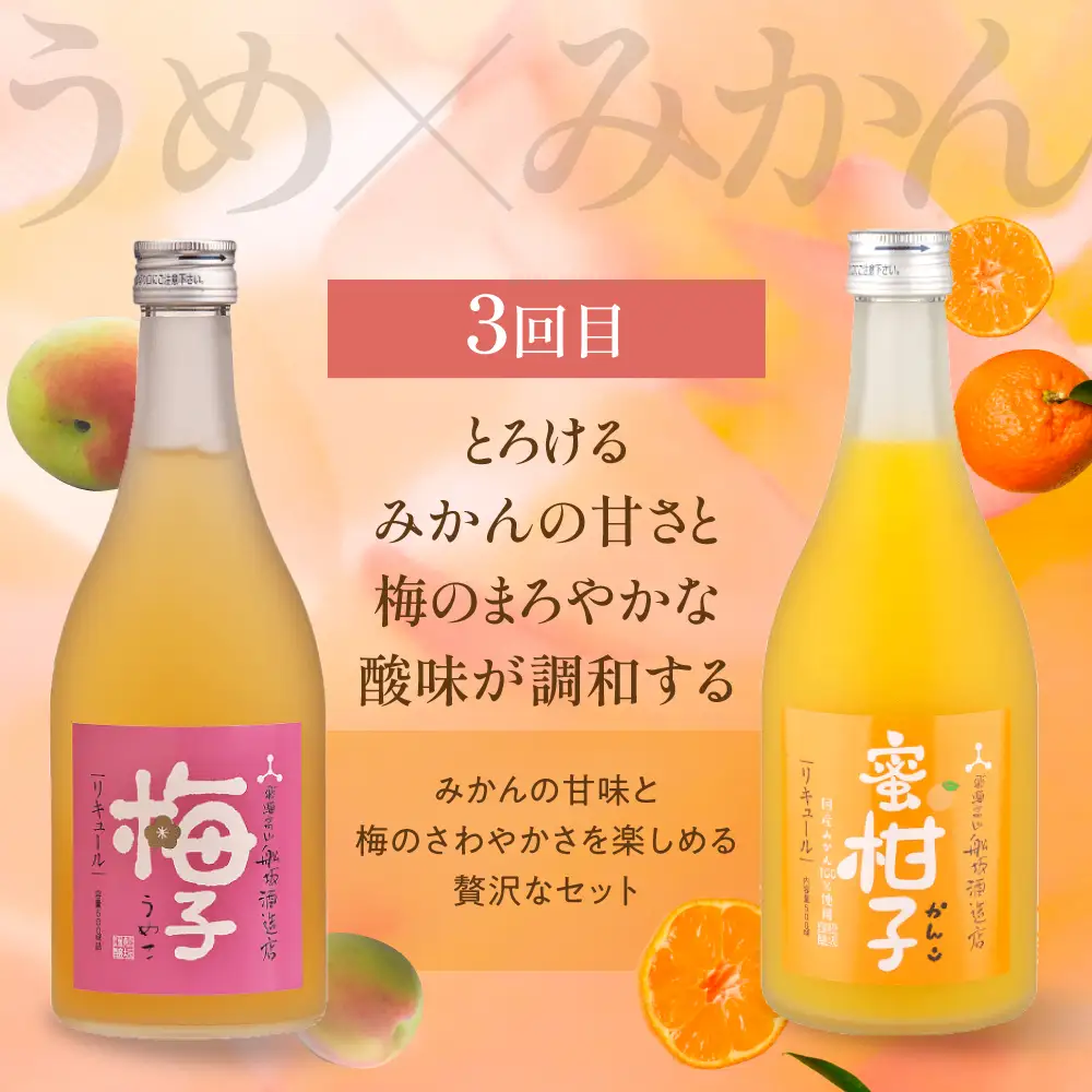 【定期便】全3回 月ごとに変わる果実のごほうび ゆず・梅・みかんの果実の香りにときめく3カ月 ? リキュール 果実酒 飲み比べセット 酒 FB110