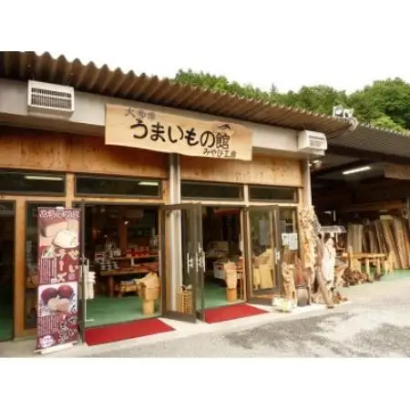 イチョウ(銀杏)のまな板(大)【1535257】