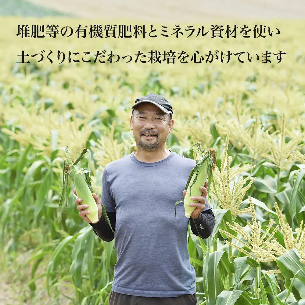 【先行予約】北海道 とうもろこし 8本 イエローコーン＆ホワイトコーン 各4本 令和8年産 おおとり
