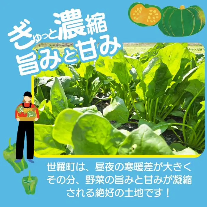 季節の野菜詰め合わせセット 7～10類 A079-01