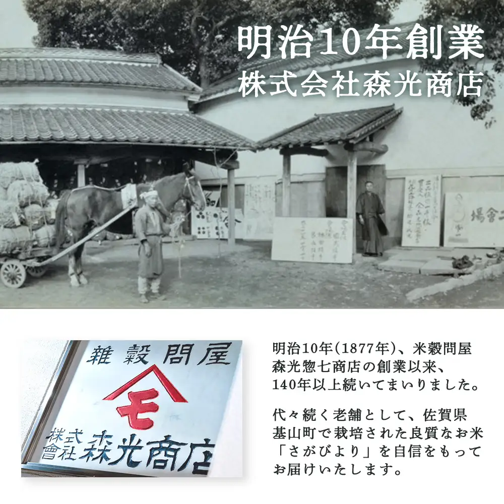☆2010年から連続特A受賞☆令和7年産 さがびより 10kg(5kg×2袋) K082003