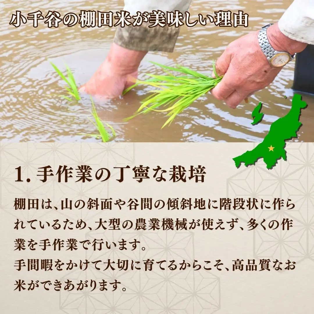 【コシヒカリ スピード発送】棚田米コンテスト入賞 令和7年産 魚沼産コシヒカリ 精米10kg