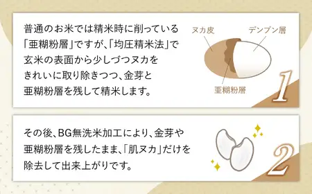 【新米予約】【定期便5回】令和8年産 加美産 金芽米 ひとめぼれ 特別栽培米 無洗米 10kg(5kg×2袋)×5回