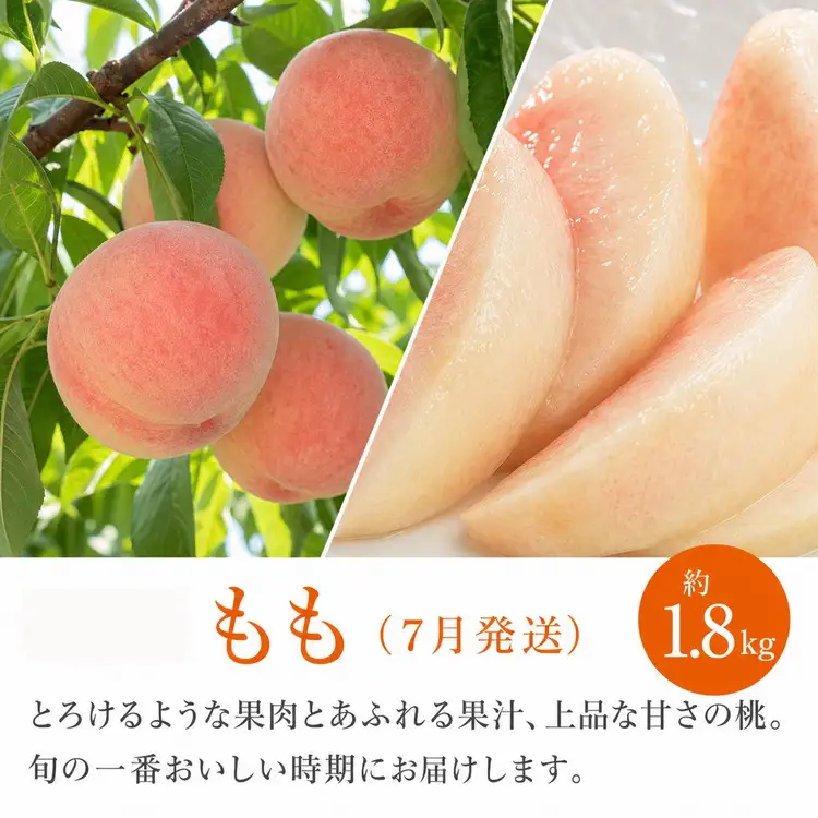 【定期便】【5・6・7月 全3回】紀州和歌山産旬 フルーツセット 定期便 (セミノール 5月、スイカ 6月、桃 7月)