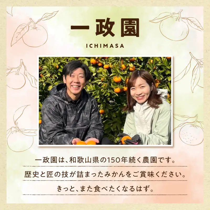 《2026年11月上旬～11月中旬頃までに順次発送予定》【2026年先行予約】有田みかん 極早生 約2.6kg 訳あり_TR1001