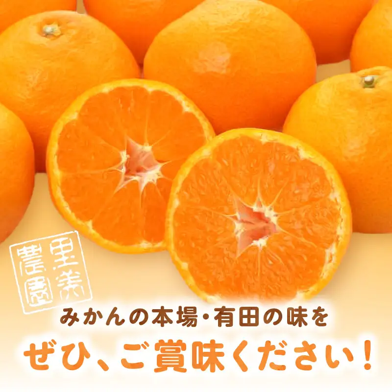 【2026年先行予約】ご家庭用有田みかん箱込み約3kg_AN6117