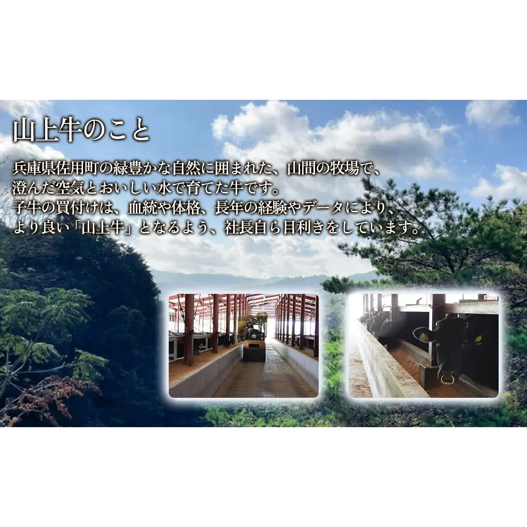 【牧場直売店】兵庫県産黒毛和牛 サーロインステーキ 220g×5 計1.1kg 牛肉 国産牛 山上牛