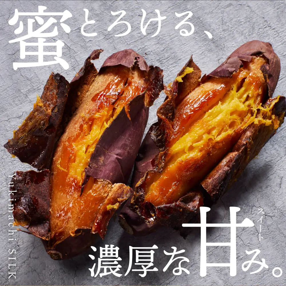 【先行予約】ゆきまちシルク 3kg（11月発送） | シルクスイート さつまいも 北海道 石狩市