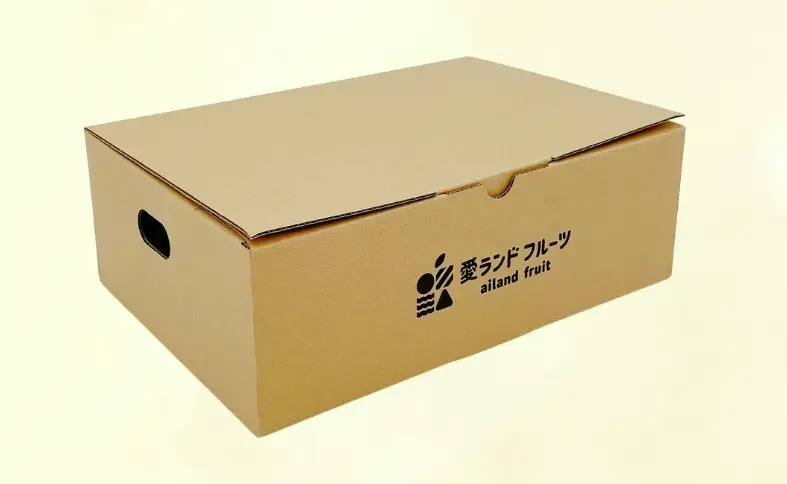 【2027年先行予約】【数量限定】愛媛県産 デコポン 5～6個 【2027年3月上旬順次発送】みかん ミカン 蜜柑 柑橘 かんきつ 柑橘類 愛媛 伊予市｜B567