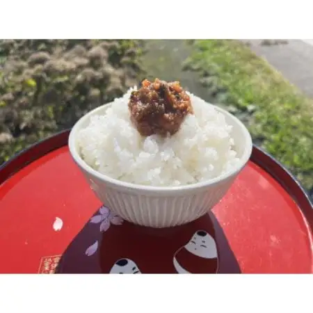ご飯や野菜のお供に!会津のピリカラしそみそ100g×10パック入り【1715087】