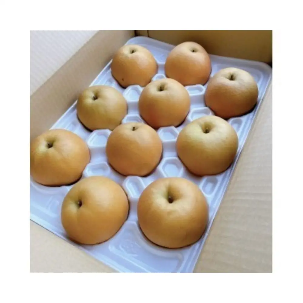 新興梨【進物用】5kg（有梨の実　石田） 鳥取 梨 なし ナシ 果物 フルーツ 和梨 新興梨 しんこうなし 人気 進物 贈答用