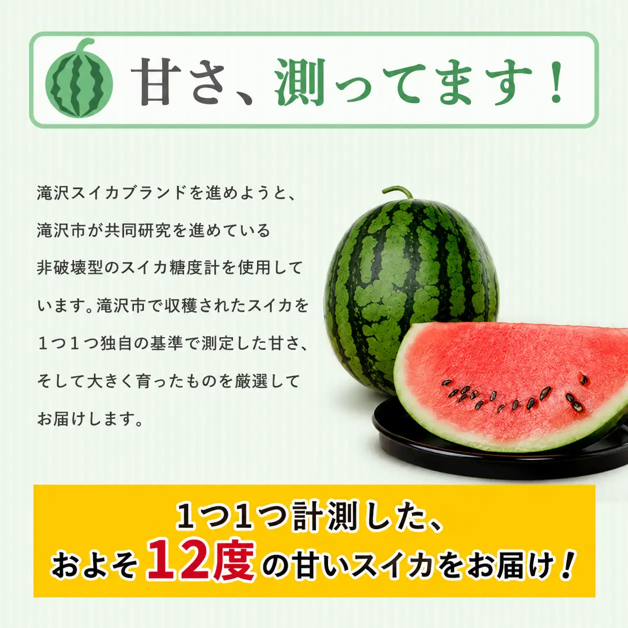 滝沢スイカ 3L 8kg すいか 西瓜  1玉 令和8年産